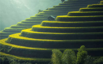 10 Best Things To Do In Colombo, Shrilanka